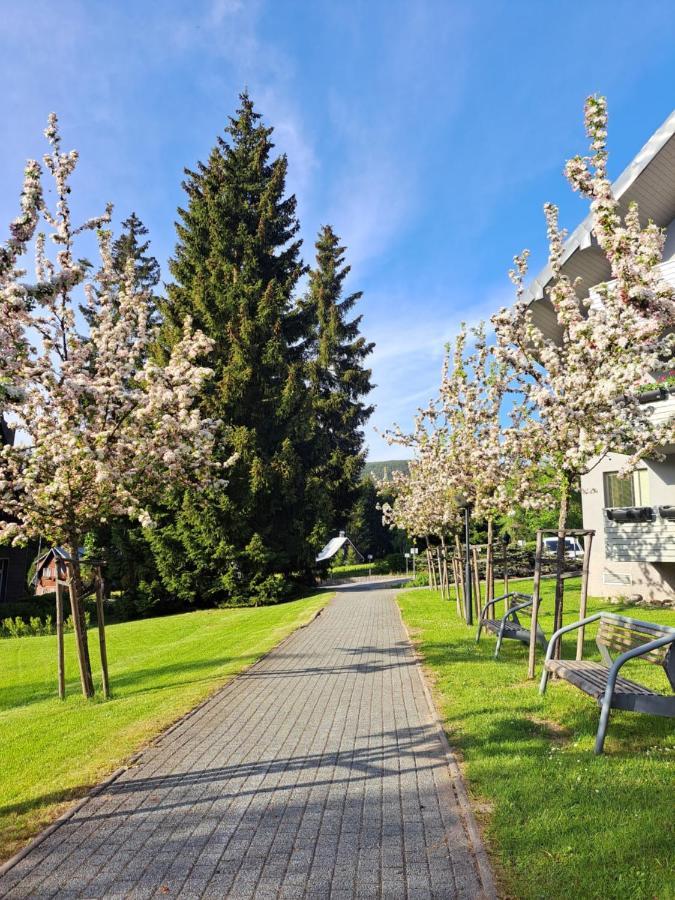 Resident Harrachov Family Apartment Buitenkant foto